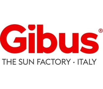 Gibus